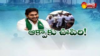 AP Govt YSR Matsyakara Bharosa Scheme || Fisherman's Happy  || Sakshi TV