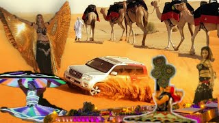 Desert Safari camp Tour Al Aweer Emirate of Dubai.