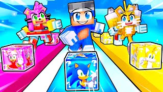 Playing a SONIC LUCKY BLOCK RACE in Minecraft!