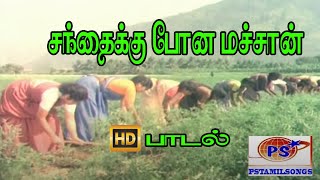 சந்தைக்கு போன மச்சான் ||Santhaikku Pona Machan  ||S. Janaki || Love H D Song