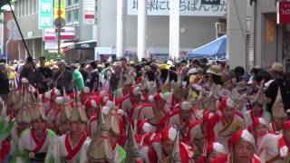 いなん（よさこい祭り2014）本番2日目・帯屋町