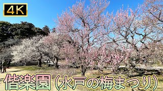 [JapanTravel] 偕楽園 水戸の梅まつり Kairakuen Mito Plum Festival