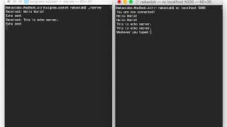 echo server demo