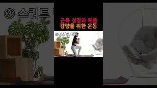 이 자세 매일 했더니 복부에 나타나는 변화! 이거 안 하면 후회합니다