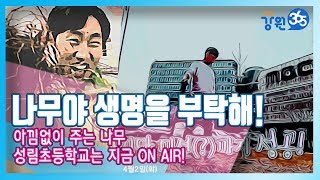 [원주MBC]생방송 강원365 4월 2일 방송