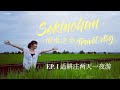 Sekinchan travel vlog 渔米之乡-适耕庄旅游vlog