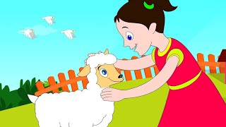 Mary Had A Little Lamb  more Nursery Rhymes for kids, learn with fun