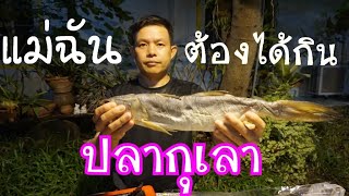 ครัวลุงเด่น@ล่องใต้ EP#3 ทอดปลากุเลา ยำหอยดอง ทำกับข้าวที่โรงแรม