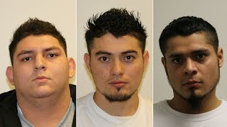 Mugshots: 17 alleged MS-13 members arrested, some tied to Long Island murders