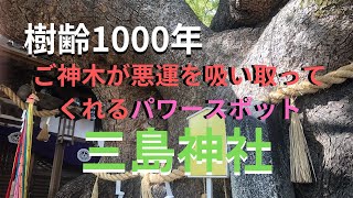 【参拝シリーズ＃2】大阪門真市『三島神社』樹齢1000年の御神木「薫蓋樟」に抱きつけばマイナスの悪気を吸い取ってくれるパワースポット