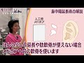 【解説】鼻中隔延長術｜ヴェリテクリニック