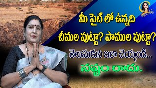 మీ సైట్ లో ఉన్నది చీమల పుట్టా? పాముల పుట్టా? తెలుసుకుని ఇలా చెయ్యండి... నష్టం రాదు.