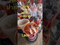 ตลาดดาวเรือง ตลาดเช้า ปากเซ แขวงจำปาสัก ประเทศลาว laos