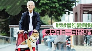 The 76-year-old man changed from hating dogs to love dogs in HK. \