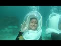 sea walking di semporna sabah maria firdaus