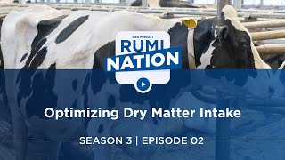 RUMINATION S3E2 :  Dr. Mike Hutjens - Optimizing Dry Matter Intake