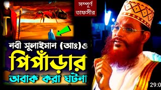 নবী সোলাইমান আঃ ও পিঁপড়ার ঘটনা | allama delwar hussain saidi waz | দেলোয়ার হোসেন সাঈদীর ওয়াজ #waz