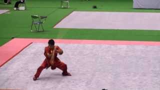 Ryosuke Kishi. 2013 The 30th All Japan Wushu Chanpionships. Men's Gun shu