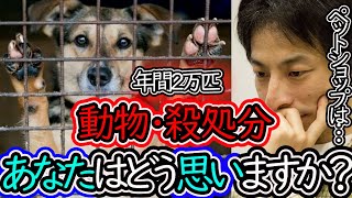 【ひろゆき】猫・犬の殺処分を減らしたい‼動物愛護団体の活動で減少しているが現状年間2万匹以上が殺処分されている【ひろゆき 切り抜き 毎日投稿 】