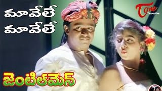 Gentleman Telugu Movie Songs | Maavele Maavele Video Song | Arjun | Madhubala