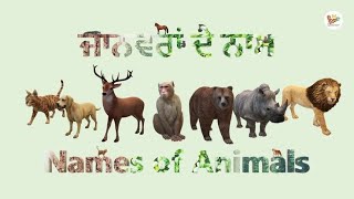 Names of Animals in Punjabi - ਜਾਨਵਰਾਂ ਦੇ ਨਾਮ - 40+ Animals in Punjabi