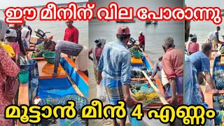 4 വലിയ മീനിന്റെ ലേലം അത്ര പോരാ #vizhinjam #kadalkara #fish #fishing