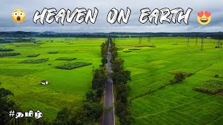 Talaguppa Marthur Paddy Fields 😍| Heaven on Earth🤩 |  |😍 must visit places| Monsoon trip | Ep-1