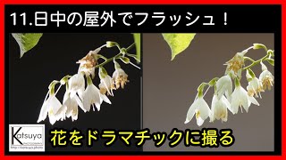 【11 日中の屋外でフラッシュ！「自然な光」で、花をドラマチックに撮る】写真豆知識