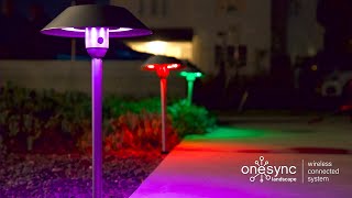 OneSync Landscape Lights: Order Today!