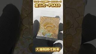 [ワンピース]大海賊シールウエハースLOG.6 金ニカ PSA10 世は正に大海賊時代‼️ #ワンピース #ウエハース #pirates