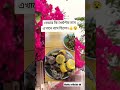 এই বেডার কি ধৈর্য ৫ মাস এখানে বসে ছিলো 😵😨 shortvideo viralvideo foryou unfreezmyaccoun