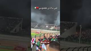 في بلادي ظلموني ♥️🇩🇿تشاكر