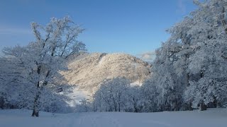 2017年1月21・22日　樹氷の明神平