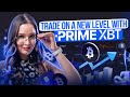 Prime XBT: Trading Cryptocurrencies, Stocks, and Forex on One Platform