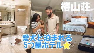 愛犬🐶と泊まる東京5つ星ホテル「椿山荘」体験記！