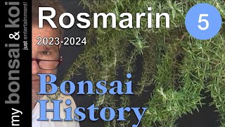 Bonsai History No. 5 - Rosmarin - Kräuter als Literat?