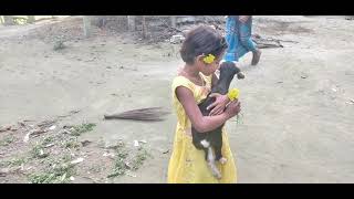 গ্রামের  দুরন্ত বালিকা  পার্ট -01 ||Village Documentary part-01|| sullu production||mysha