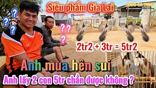 Hành trình vào xã săn được cặp chào mào GIA LAI vip của bạn trẻ bán chim đi làm xa