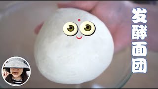 【How to Rise Dough】- Dough 101 Ep. 4 (Eng. Sub.)