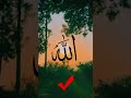 best ☑ edit for muslims 🕋 shorts subhanallah allahloves shortsvideo shorts allahuakabar