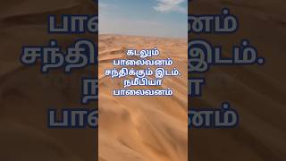 கடலும் பாலைவனம் சந்திக்கும் இடம்.நமீபியா பாலைவனம்#ஷோட்வீடியோ #shorts #shortsfeed #shortvideo