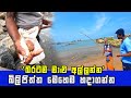How To Find A Good Fishing Rod In Sri Lanka