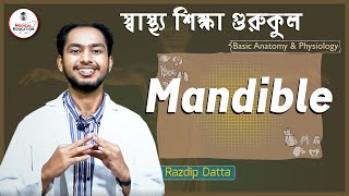 Anatomy \u0026 Physiology, Mandible Anatomy- ম্যান্ডিবল হাড় | মেডিকেল এডুকেশন গুরুকুল