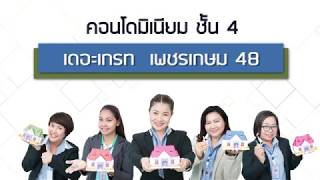 เดอะเกรท ซ.เพชรเกษม 48