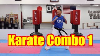 KARATE for Beginners - Lesson 4 / Karate combo