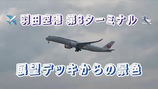 羽田空港 第3ターミナル 展望デッキからの景色