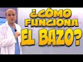 BAZO, ¿cómo funciona? - Cuerpo Humano #12