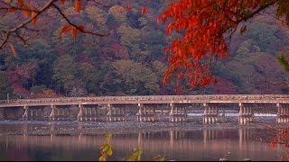 嵐山 紅葉　京都の庭園　Arashiyama The Garden of Kyoto Japan Full HD