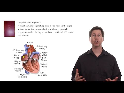 What is a normal heart rate? What is a normal heart rate?