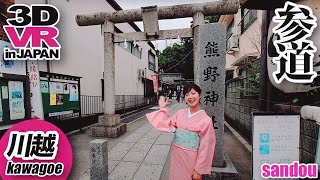 【8K/VR】神社参道 -Jinja Sandou- Japan Travel【3D/180°】